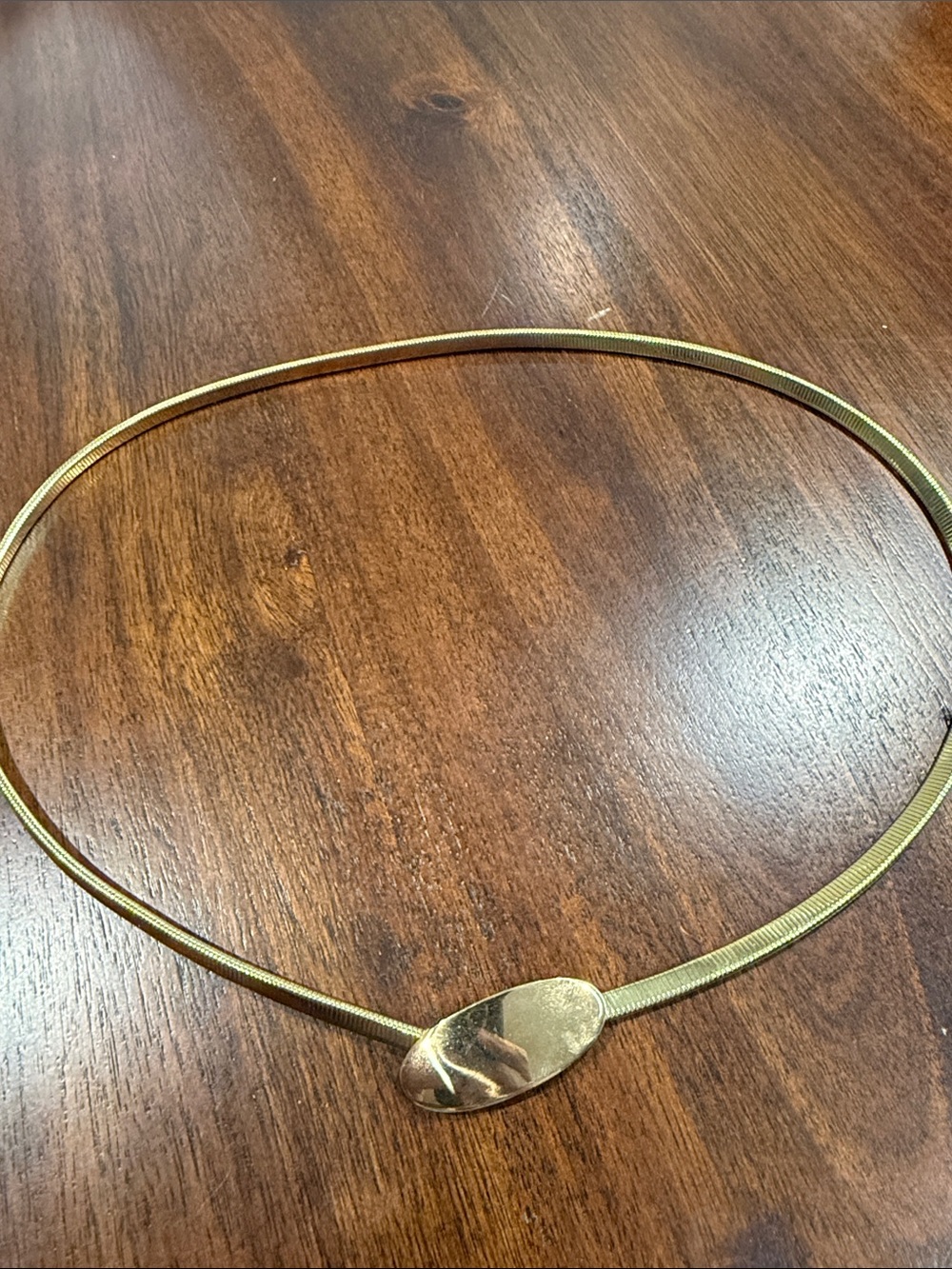 Vintage Sarah Coventry Gold Tone Belt with Oval Buckle